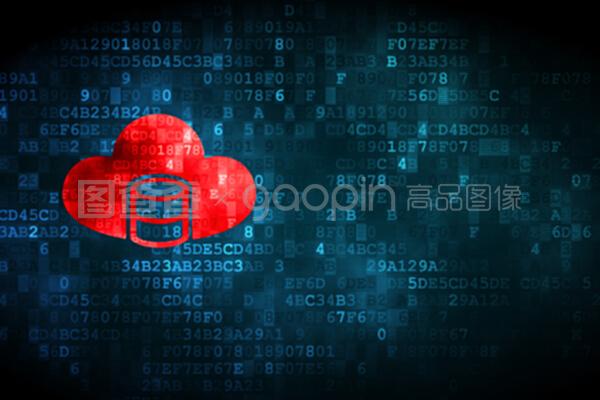 數字時代的數據基石 數據庫、網絡信息安全與軟件開發